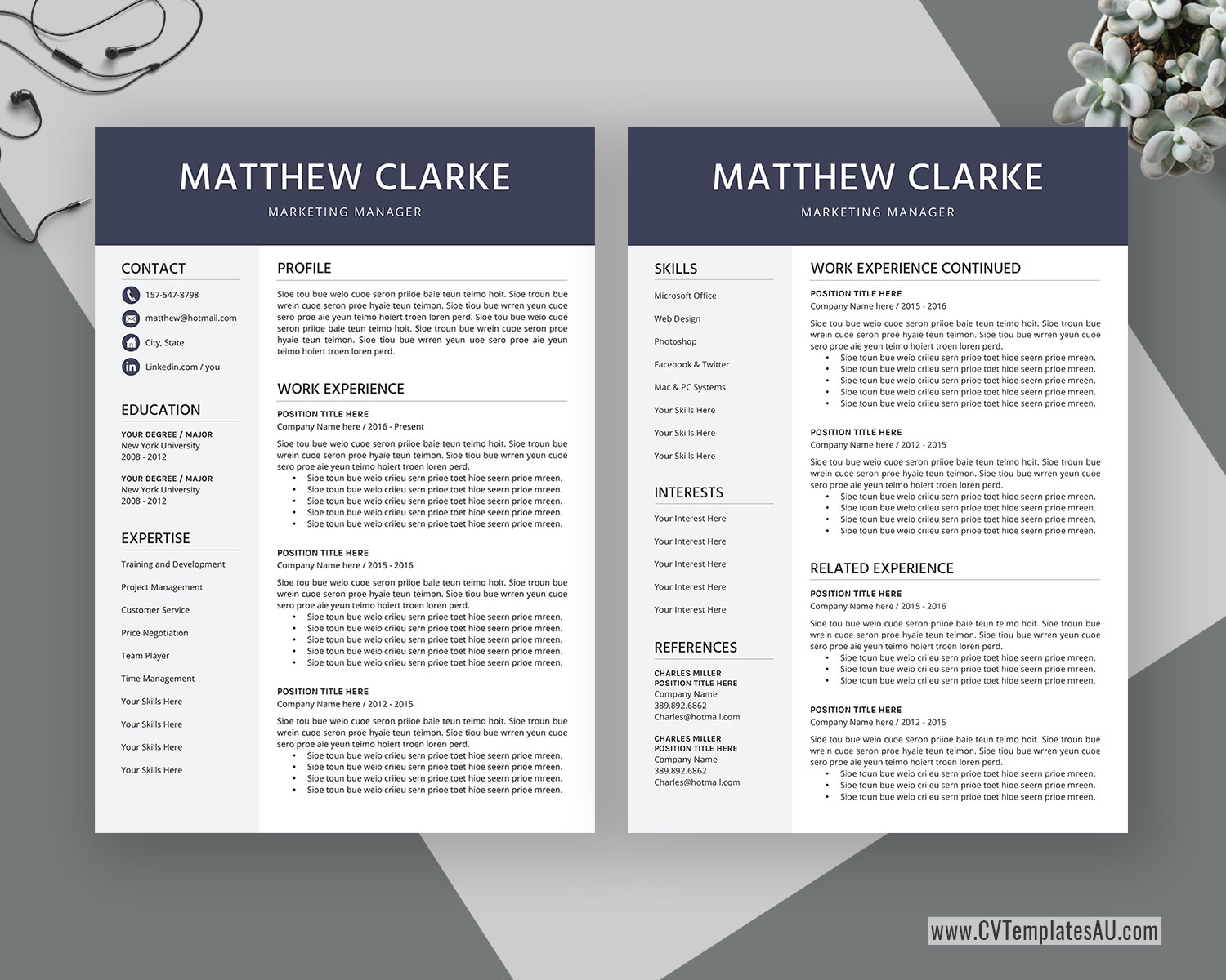 resume writing for project manager   75